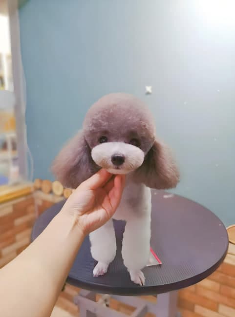 서연 라이브방송~~