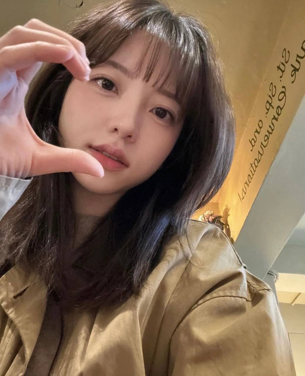 bj멍멍